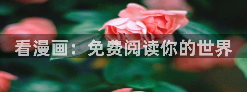 backstage韩漫免费观看：看漫画：免费阅读你的世界