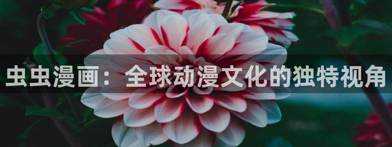 樱花动漫正版网：虫虫漫画：全球动漫文化的独特视角