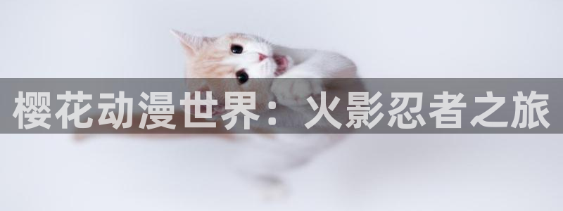 colomanage漫画官网：樱花动漫世界：火影忍者之旅