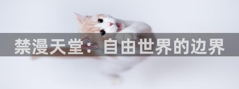 樱花动漫官网网址：禁漫天堂：自由世界的边界