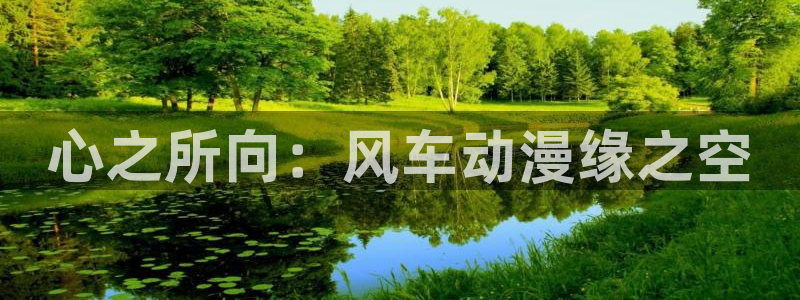 backstage韩漫免费观看：心之所向：风车动漫缘之空