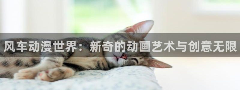 colamanage漫画下载：风车动漫世界：新奇的动画艺术与创意无限