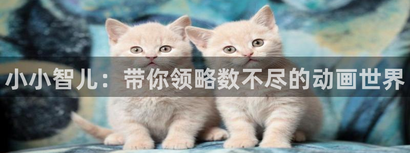 kakaopage韩漫官网：小小智儿：带你领略数不尽的动画世界