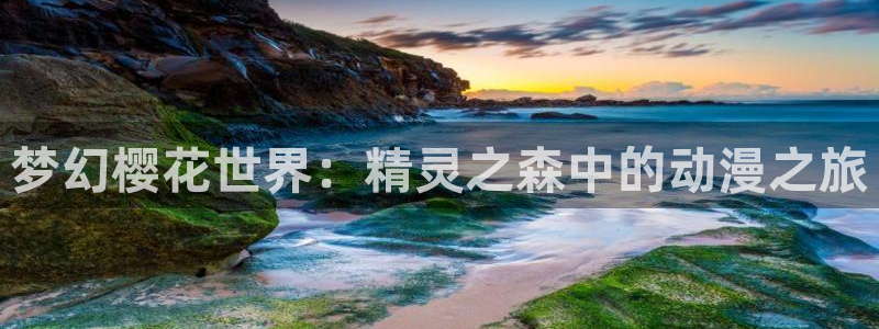 在线动画动漫下载樱花动漫：梦幻樱花世界：精灵之森中的动漫之旅
