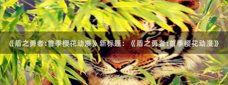 age樱花动漫：《盾之勇者:首季樱花动漫》新标题：《盾之勇者:首季樱花动漫》