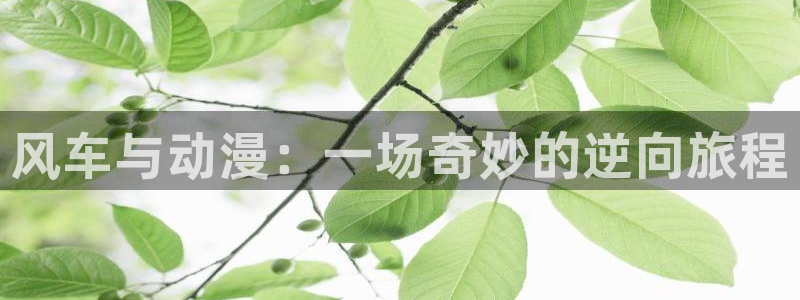 colamanage漫画下载：风车与动漫：一场奇妙的逆向旅程