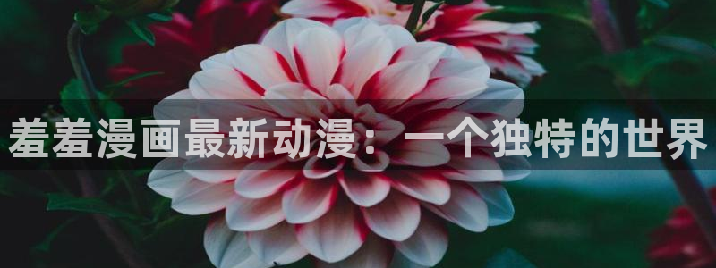 樱花动漫樱花：羞羞漫画最新动漫：一个独特的世界