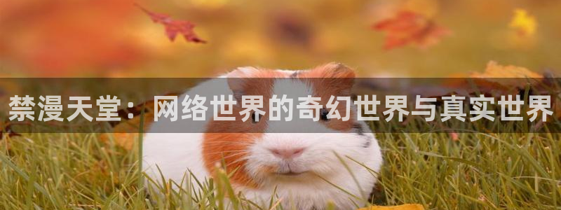 樱花动漫正版网：禁漫天堂：网络世界的奇幻世界与真实世界